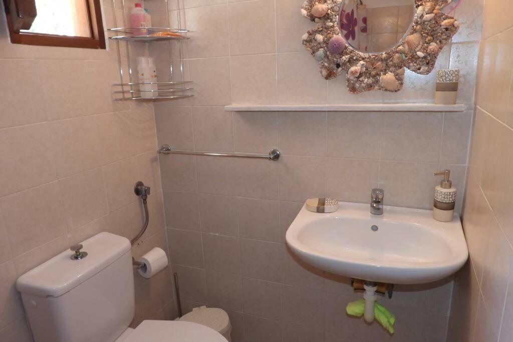 Apartment Traditional Efterpi *